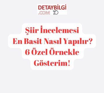 Şiir incelemesi