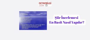 Şiir İncelemesi Nasıl Yapılır?