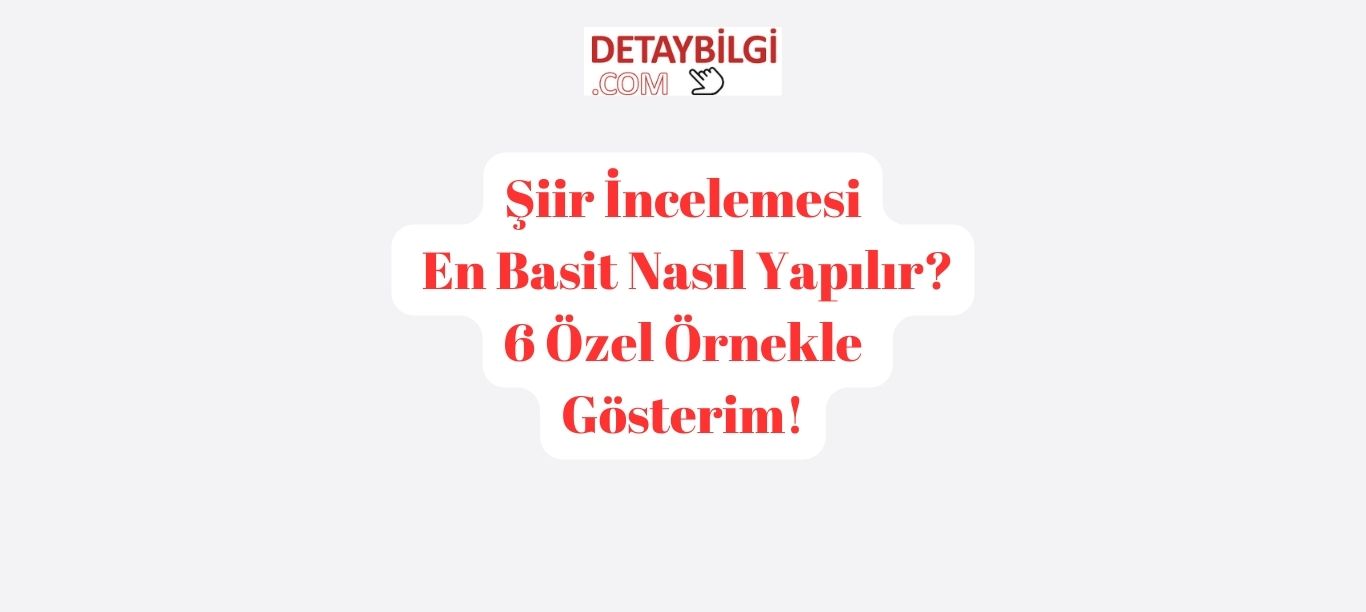 Şiir incelemesi
