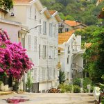 Buyukadaya nasıl gidilir