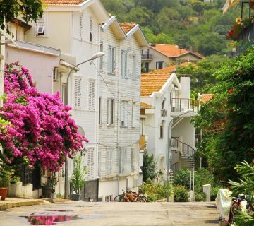 Buyukadaya nasıl gidilir