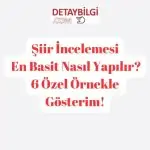 Şiir incelemesi